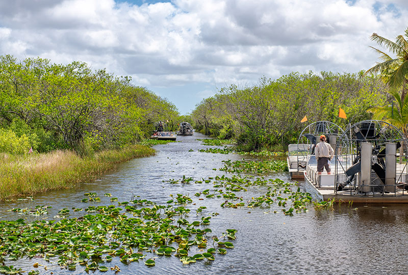 Airboats tours in Everglades National Park, Florida.