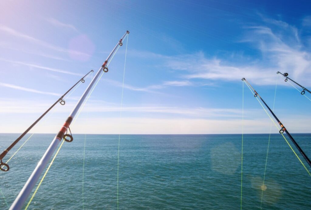 Four fishing rods have lines in the sea.