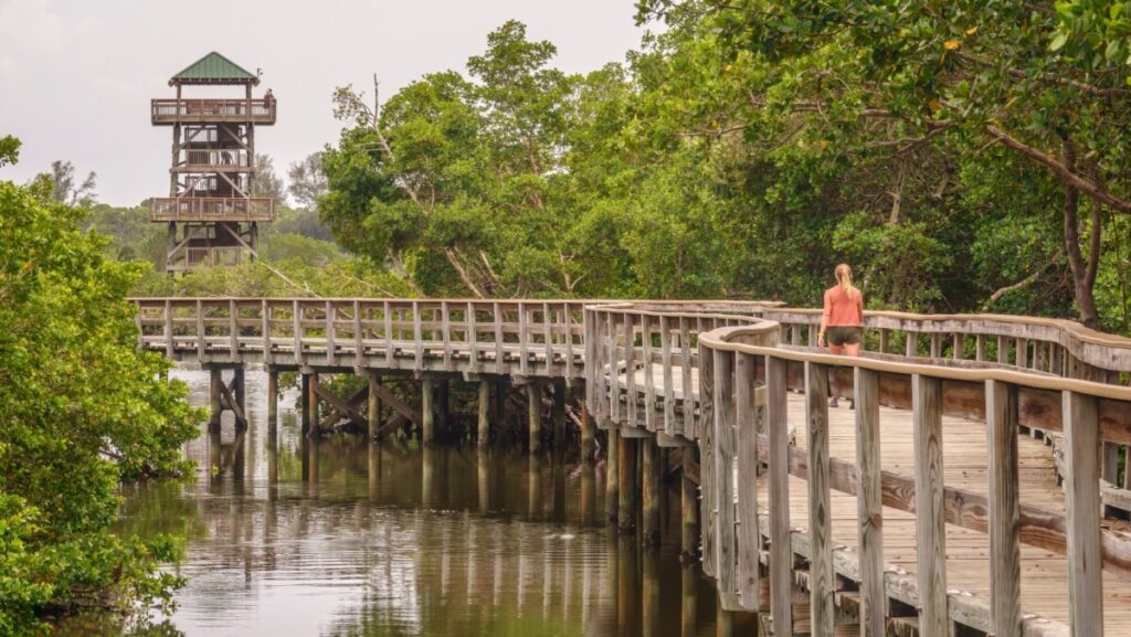 observation tower at Neal Preserve