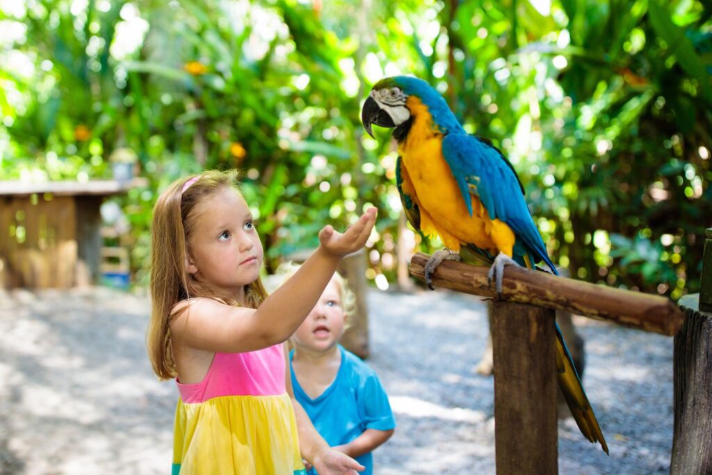 Kids with parrot