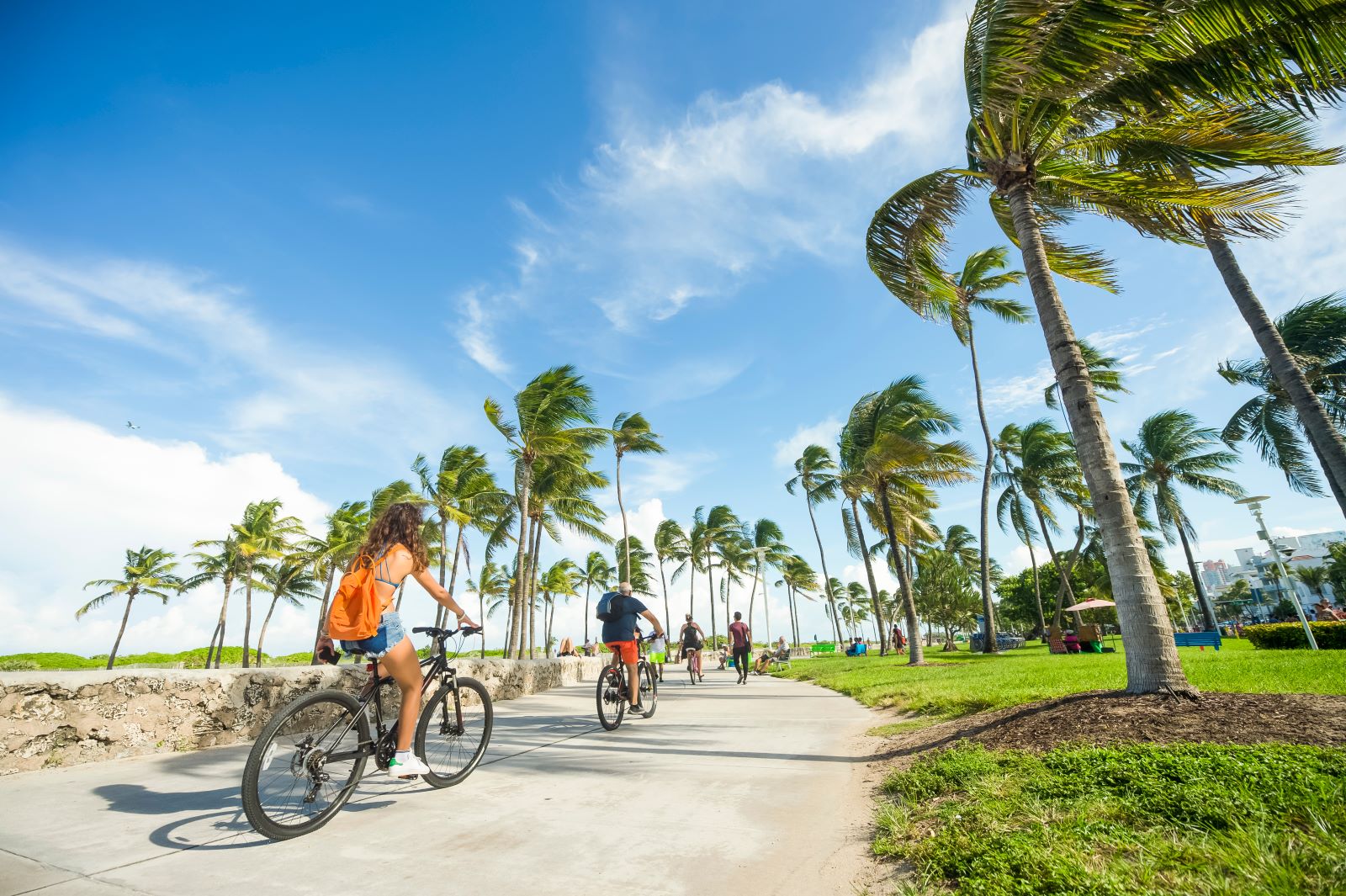 Family on bike tour in Sarasota