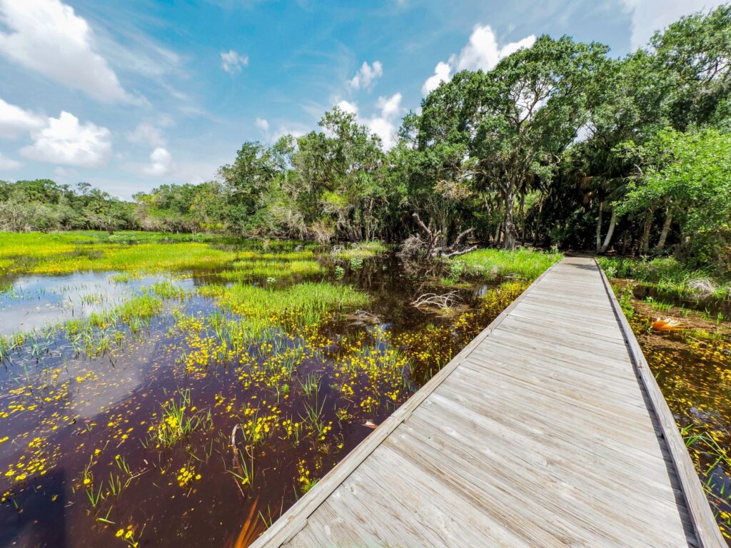 Boardwalk in Myakka River State Park