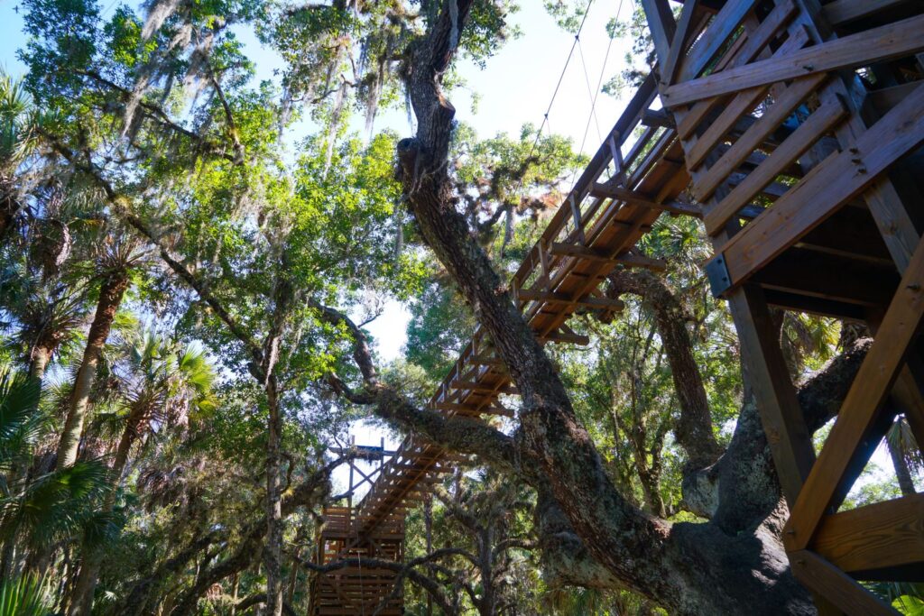 Canopy walkway in Myakka River State Park