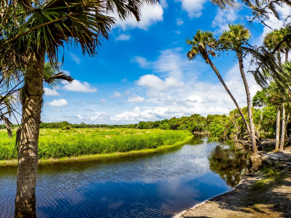 The Fisherman's Loop in Myakka River State Park