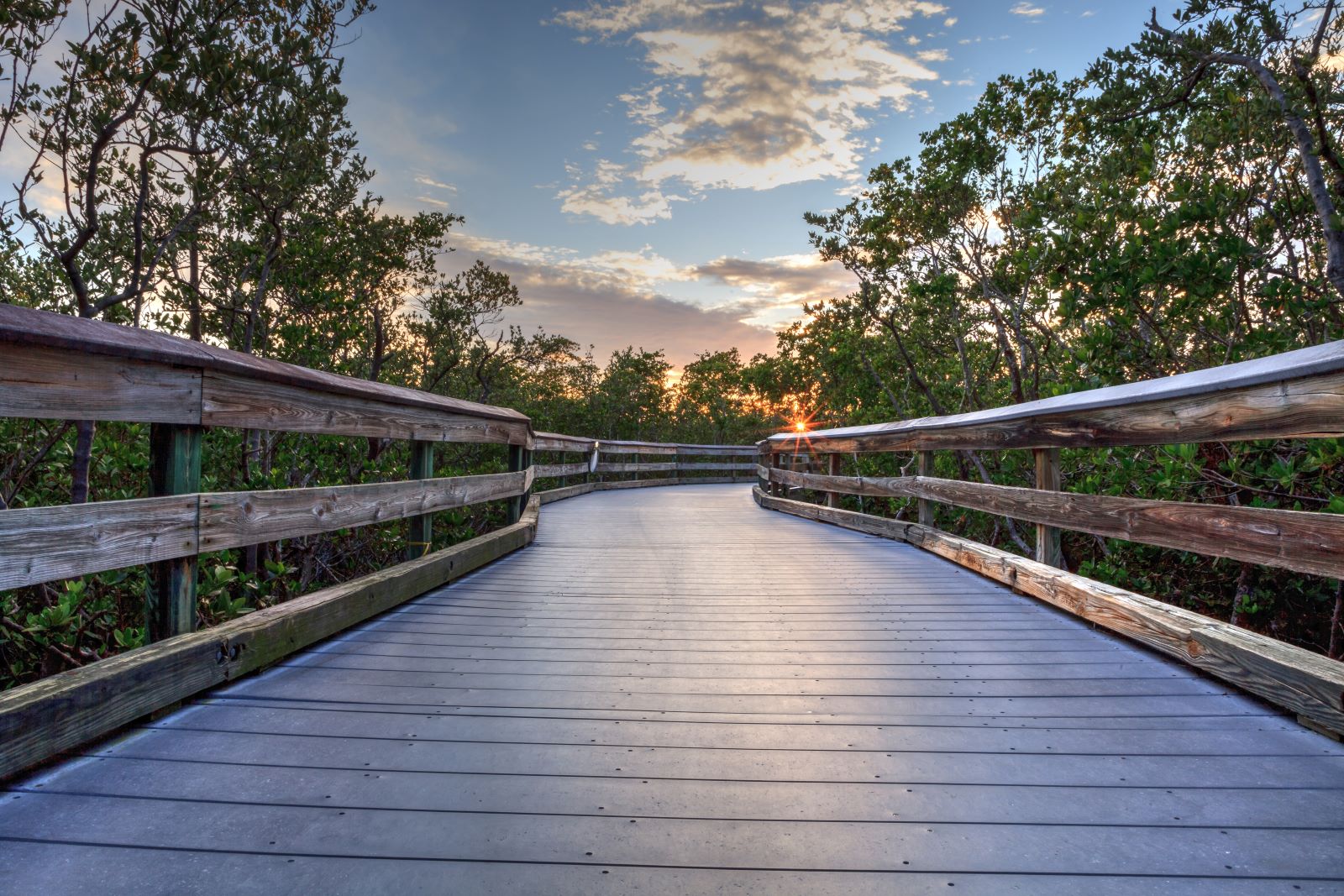 boardwalk in the Phillippi Estate Park