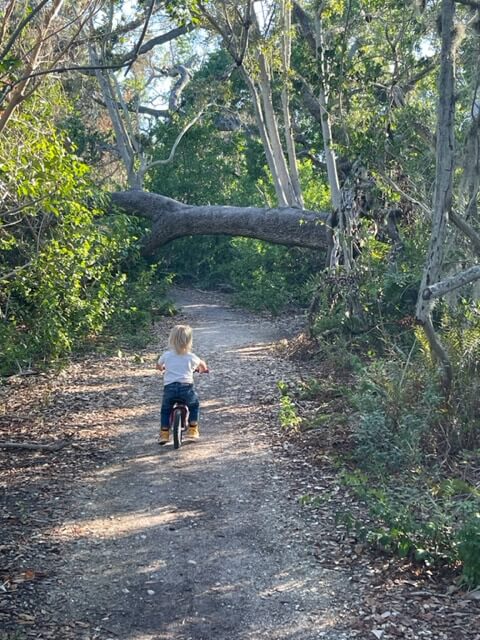 robinson preserve