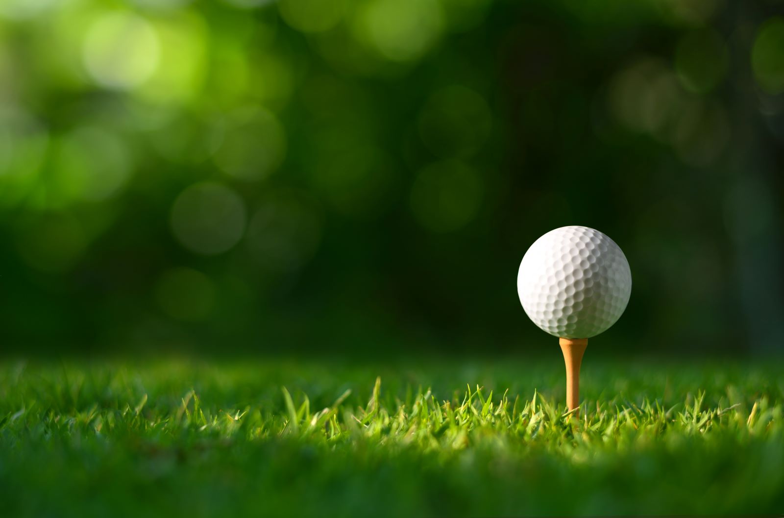 Golf ball sitting on tee